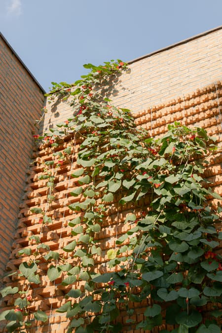 Tamanás House